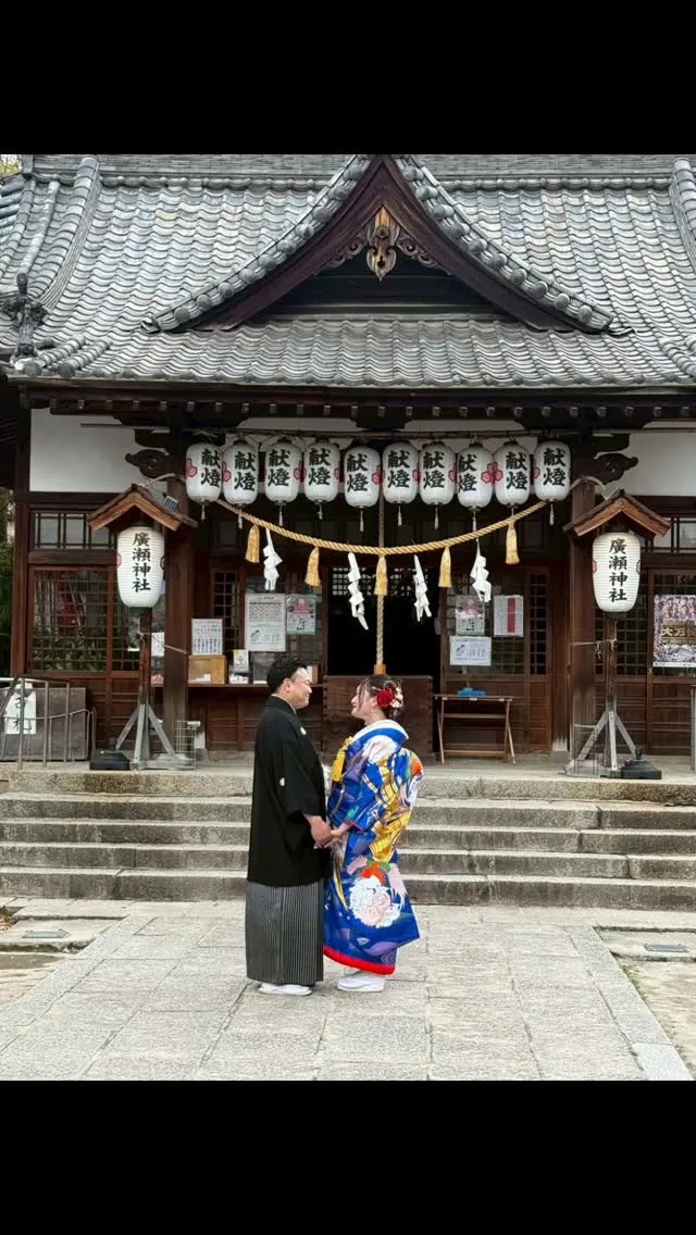 Calmファルコンは